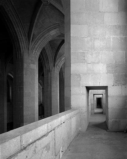 église abbatiale de l'abbaye Saint-Oyend, actuellement cathédrale Saint-Pierre, Saint-Paul et Saint-André