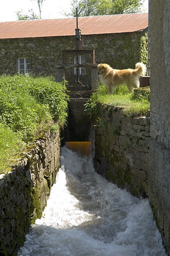 moulin à farine dit moulin Grand-Pierre, actuellement centrale hydroélectrique