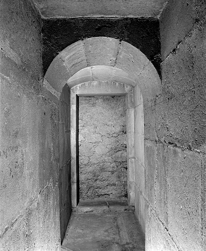 église abbatiale de l'abbaye Saint-Oyend, actuellement cathédrale Saint-Pierre, Saint-Paul et Saint-André