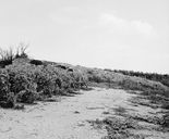 cabane de vigneron dite Cabote du Grand Maillard