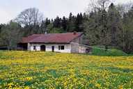 ferme dite maison du Décimateur