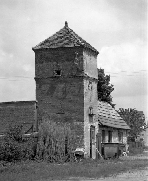 Ferme