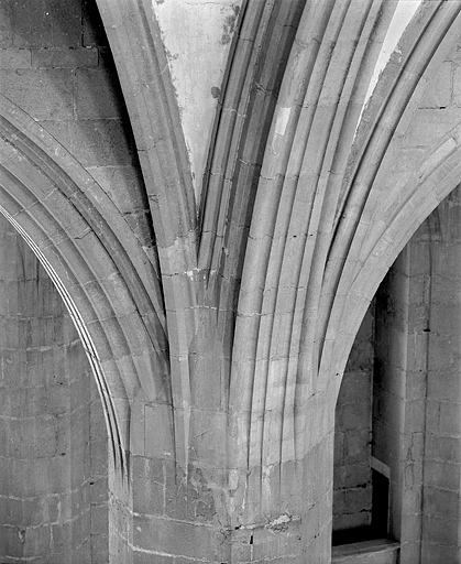 église abbatiale de l'abbaye Saint-Oyend, actuellement cathédrale Saint-Pierre, Saint-Paul et Saint-André