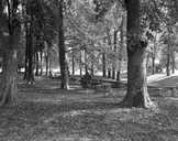 parc dit cours Saint-Joseph, puis promenade des Tilleuls