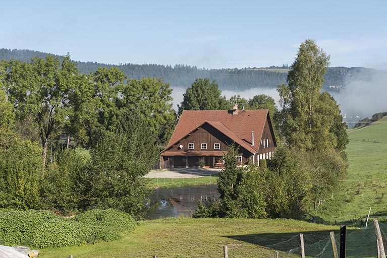 atelier de teinturier et moulin à foulon Reuille, puis scierie Jacoutot puis Vermot-Desroches