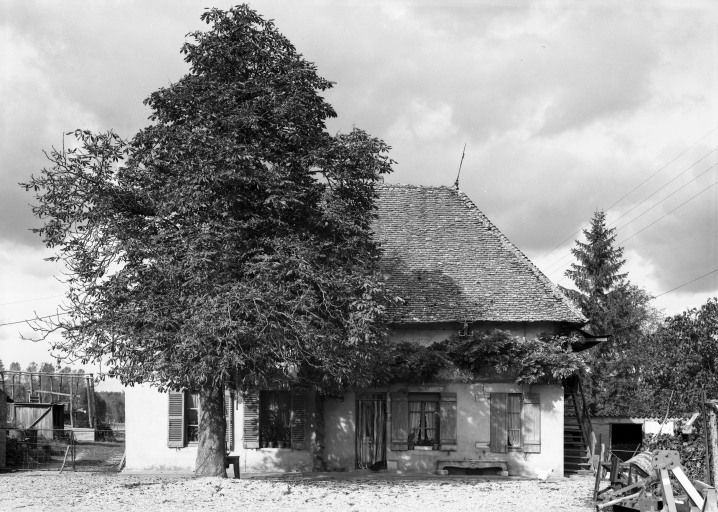 Ferme