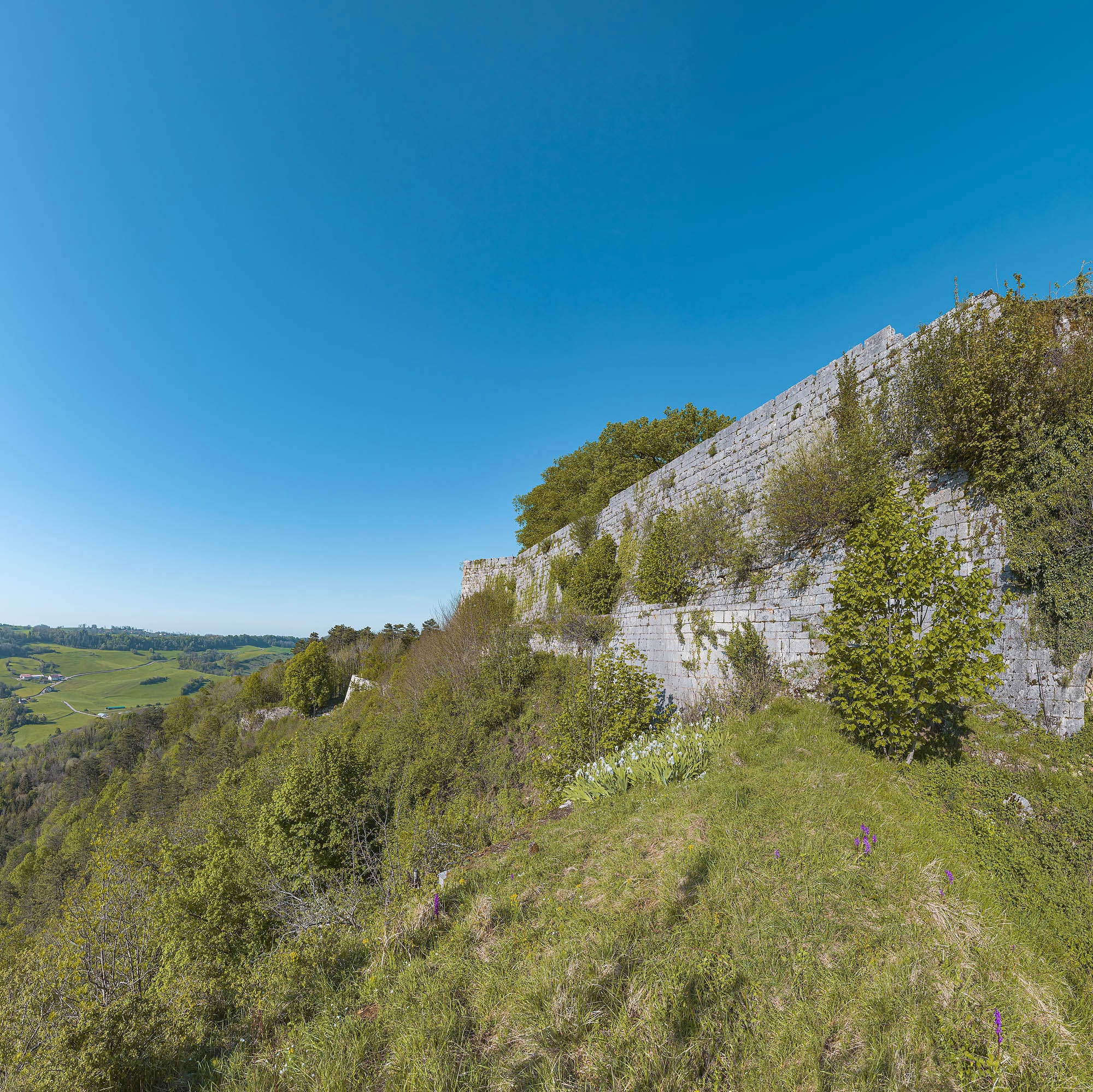 fort Saint-André