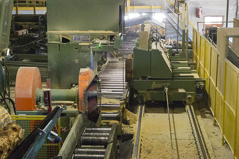 scierie Thidric puis Gaume, ou Grande Scierie mécanique de Maîche