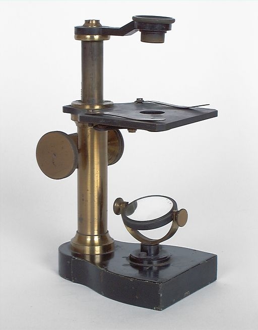 microscope optique n° 2