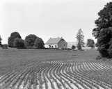 ferme de cisterciens (grange monastique) dite ferme de Chamars