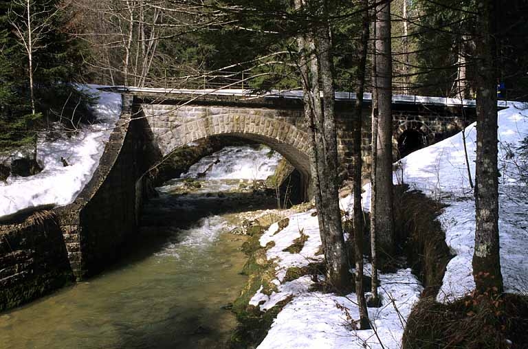 2 ponts ferroviaires (voie ferrée Andelot - La Cluse)