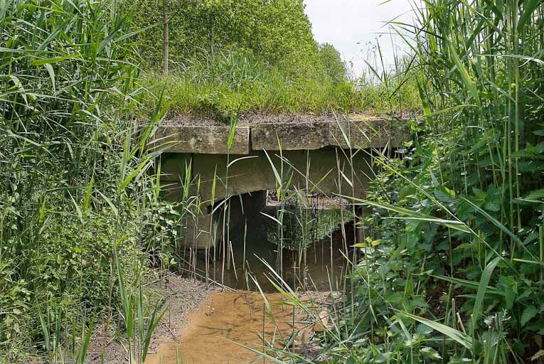 pont, ponceau, dit pontceau Gauthier et Dard (la Seille canalisée)