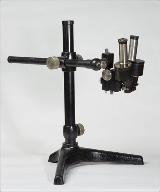 microscope (loupe binoculaire Zeiss)