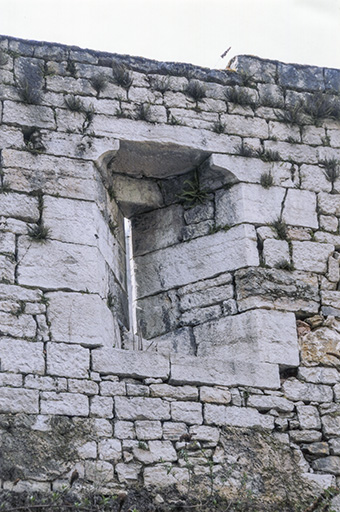 enceinte urbaine de Salins