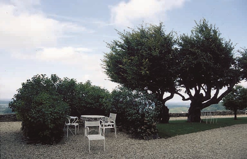 château de Frontenay : jardin d'agrément