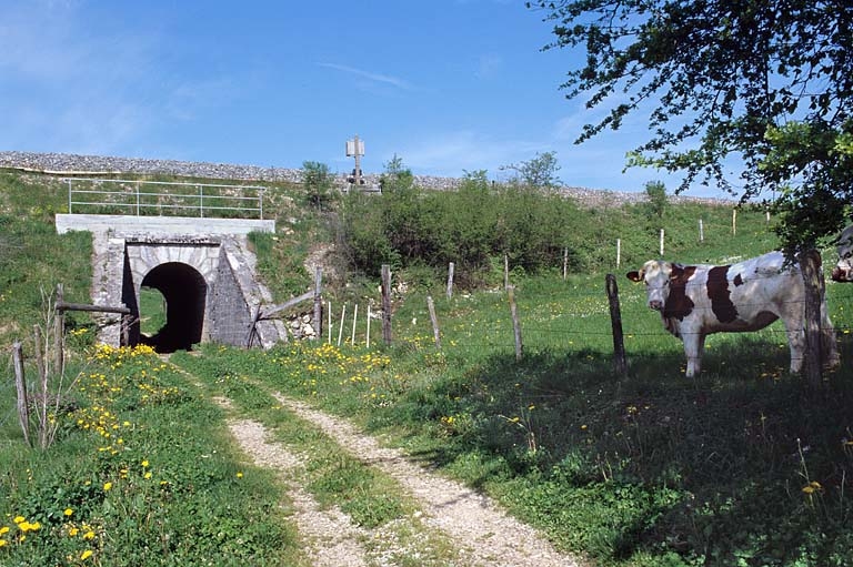 pont ferroviaire dit aqueduc (voie ferrée Andelot - La Cluse)