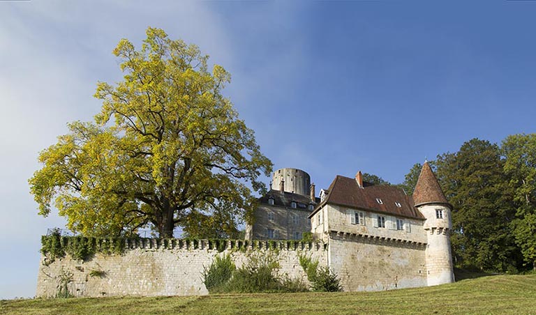 demeure dite le petit château ou le vieux château