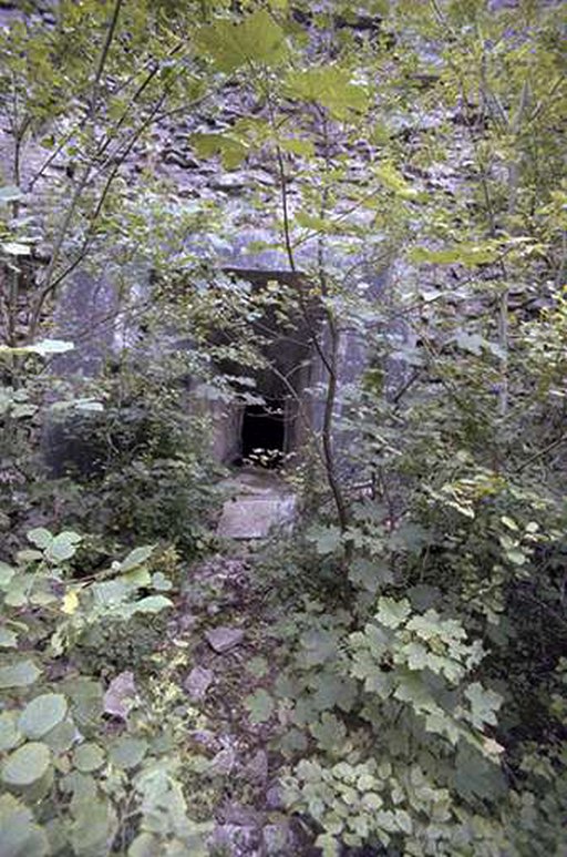 fort de Pugey