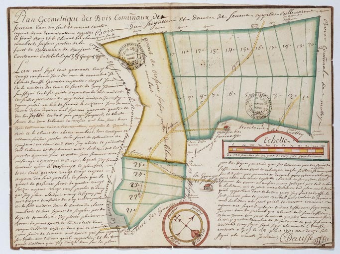 carte