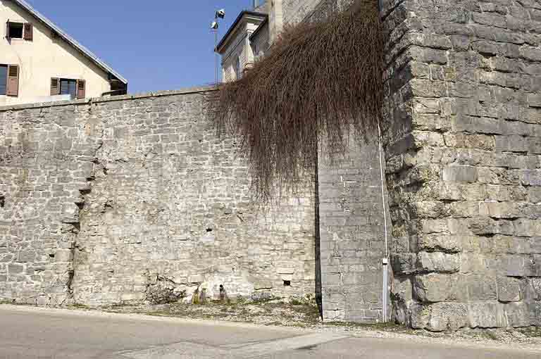 ensemble fortifié