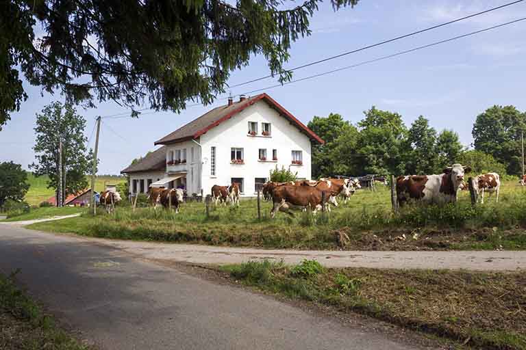 fromagerie de la Seignotte