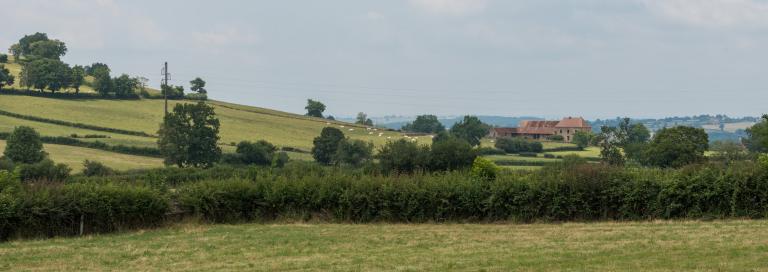 Ferme de la Grange Plassard