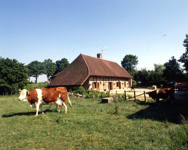 ferme