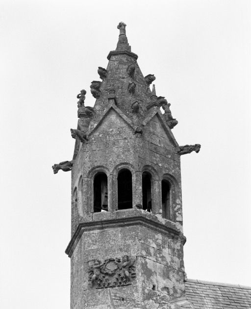 château fort Notre-Dame dit Château des Seigneurs de Pagny
