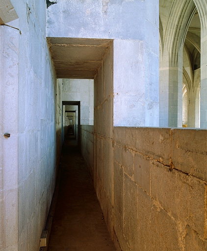 église abbatiale de l'abbaye Saint-Oyend, actuellement cathédrale Saint-Pierre, Saint-Paul et Saint-André