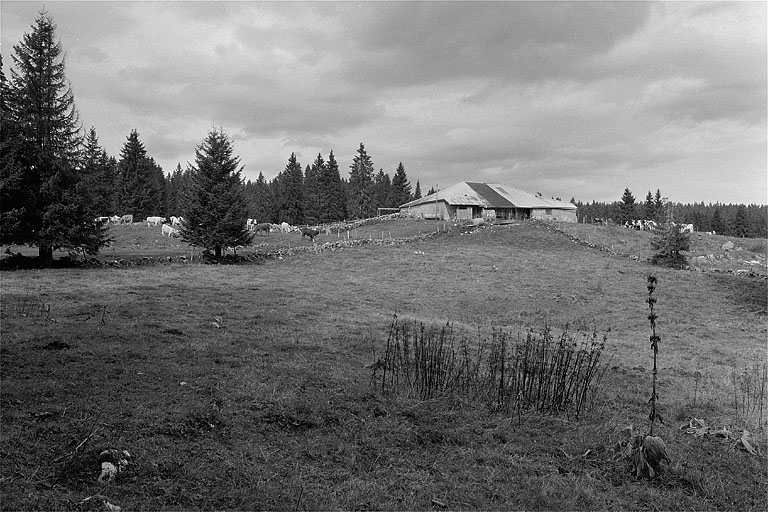 ferme dite le Grand Chalet (chalet d'estive)