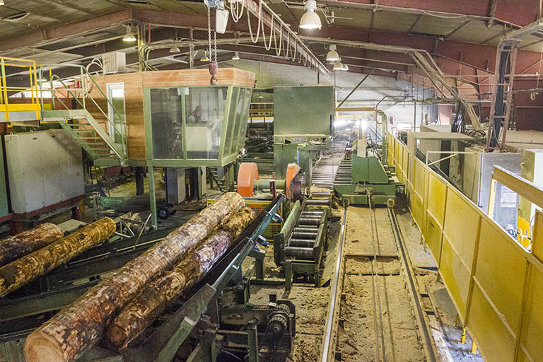 scierie Thidric puis Gaume, ou Grande Scierie mécanique de Maîche