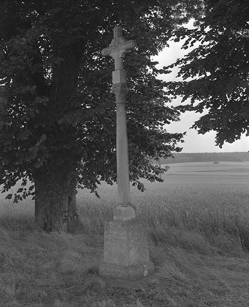 croix de chemin dite croix Saint-Marc
