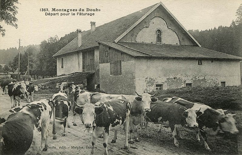ferme
