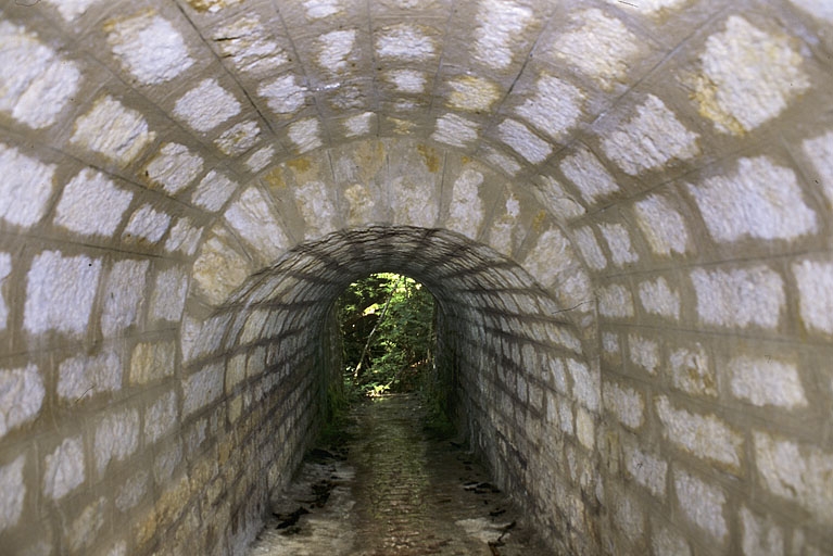 pont ferroviaire à voûte en rouleaux à ressauts (voie ferrée Andelot - La Cluse)