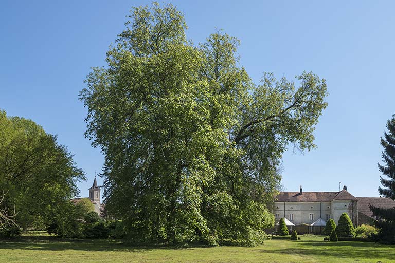 Présentation de la commune de Vauchoux