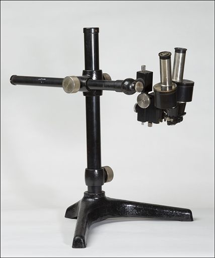 microscope (loupe binoculaire Zeiss)
