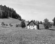 ferme
