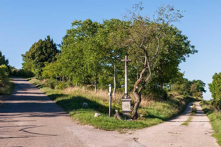 Croix de chemin dite croix Nardin