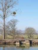 déversoir de fond (canal de Bourgogne)