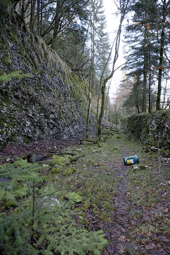 section Champagnole - Morez de la voie ferrée Andelot - La Cluse