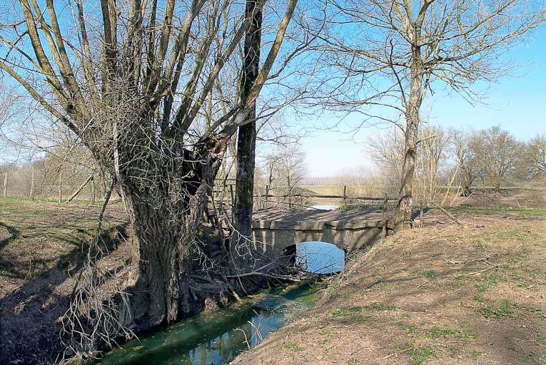 pont, ponceau, dit pontceau Saussard (la Seille canalisée)