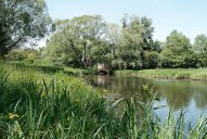 synthèse sur les paysages et les activités liés à la rivière aménagée de la Seille ; ensemble industriel ; ensemble artisanal commercial ou tertiaire (la Seille canalisée)
