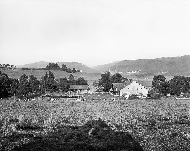 scierie