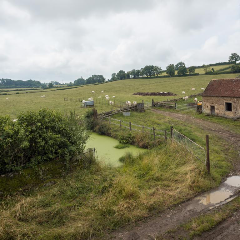 Ferme de la Grange Plassard