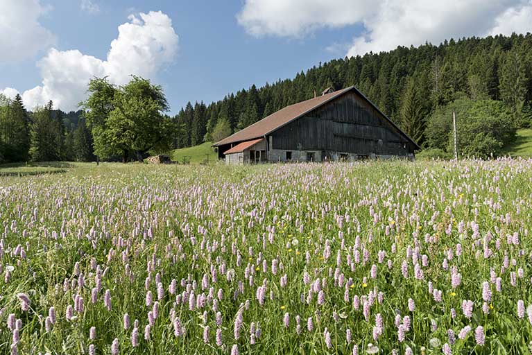 ferme et atelier d'outillage de Benoît Moyse, puis ferme Vermot-Desroches