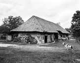 ferme