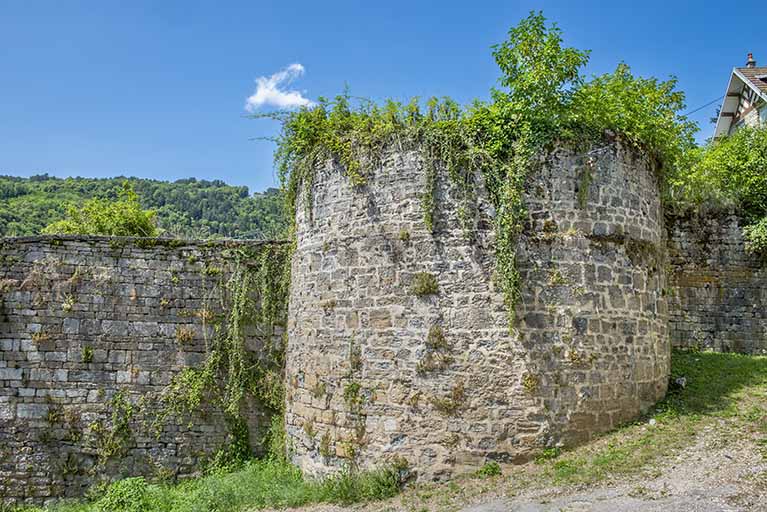 enceinte urbaine de Salins