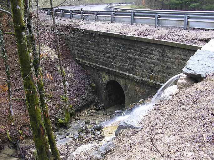 pont