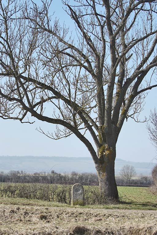 synthèse sur les bornes du canal de Bourgogne (canal de Bourgogne)