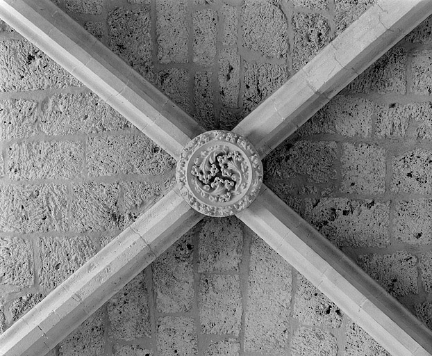 église abbatiale de l'abbaye Saint-Oyend, actuellement cathédrale Saint-Pierre, Saint-Paul et Saint-André